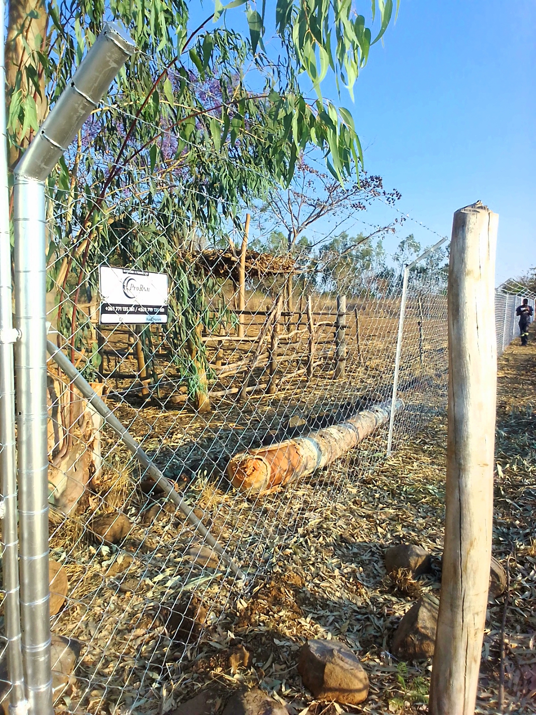 Awesome Product Image